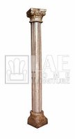LAE-AN-MIC-042